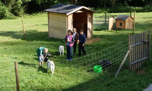 Hanselishof (Schenkenzell / Kaltbrunn) Hanselishof (Schenkenzell / Kaltbrunn)
