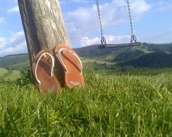 Rotenhof (Münstertal) Rotenhof (Münstertal)