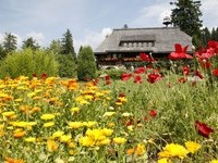 H�sli (Bildnachweis: Tourist-Information Grafenhausen)