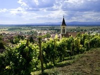 Auggen (Bildnachweis: Mit freundlicher Genehmigung der Touristikinformation Auggen / Winzerkeller Auggener Schäf) Auggen (Bildnachweis: Mit freundlicher Genehmigung der Touristikinformation Auggen / Winzerkeller Auggener Schäf)