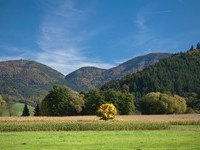 (Bildnachweis: Mit freundlicher Genehmigung der Ferienregion Münstertal Staufen) (Bildnachweis: Mit freundlicher Genehmigung der Ferienregion Münstertal Staufen)