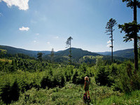 (Bildnachweis: Mit freundlicher Genehmigung der Baiersbronn Touristik) (Bildnachweis: Mit freundlicher Genehmigung der Baiersbronn Touristik)