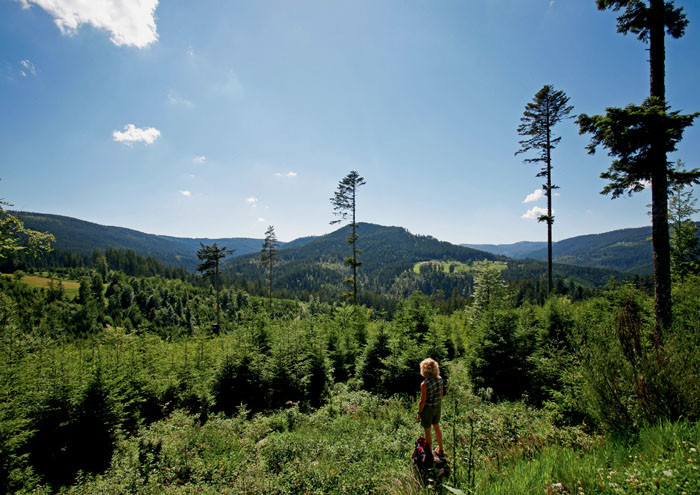 Schwarzwaldort Baiersbronn Orte im Schwarzwald Ortsinformationen im