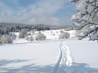 (Bildnachweis: isocont GmbH) (Bildnachweis: isocont GmbH)