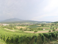 (Bildnachweis: Mit freundlicher Genehmigung der Stadt Müllheim) (Bildnachweis: Mit freundlicher Genehmigung der Stadt Müllheim)