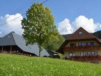Bauernhöfe im Schwarzwald