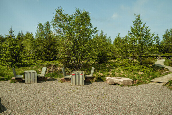 Der Lotharpfad Bildnachweis: Mit freundlicher Genehmigung von Baiersbronn Touristik | © Max Günter Der Lotharpfad Bildnachweis: Mit freundlicher Genehmigung von Baiersbronn Touristik | © Max Günter