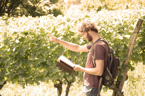 1959 - Eduardo & das Weingeheimnis Bildnachweis: Mit freundlicher Genehmigung von Berggeheimnis 1959 - Eduardo & das Weingeheimnis Bildnachweis: Mit freundlicher Genehmigung von Berggeheimnis