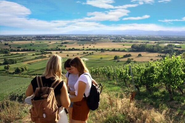 Outdoor Escape - In Vino Veritas Bildnachweis: Mit freundlicher Genehmigung von We-Escape Outdoor Escape - In Vino Veritas Bildnachweis: Mit freundlicher Genehmigung von We-Escape