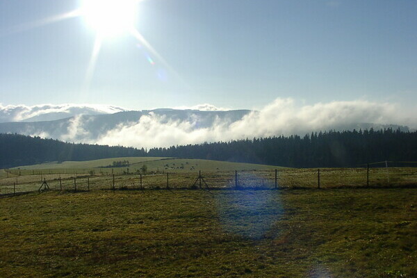 Bildnachweis: 4ws-netdesign Bildnachweis: 4ws-netdesign