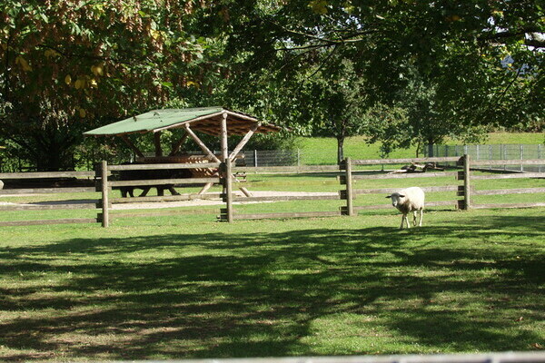 Bildnachweis: Mit freundlicher Genehmigung der Stadt Offenburg Bildnachweis: Mit freundlicher Genehmigung der Stadt Offenburg