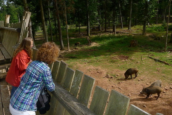 Bildnachweis: Mit freundlicher Genehmigung der Stadt Calw Bildnachweis: Mit freundlicher Genehmigung der Stadt Calw