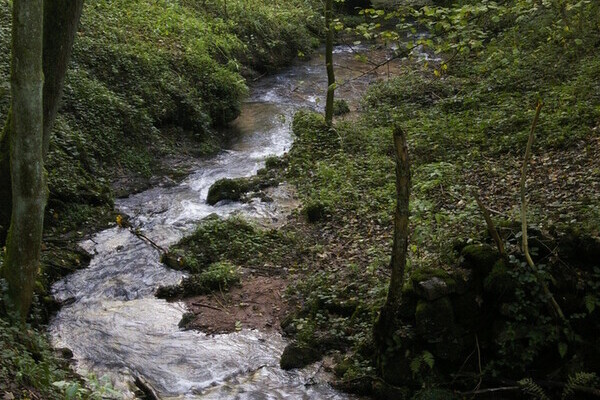 Laufenbach Wasserfälle Bildnachweis: Bürgermeisteramt Loffenau Laufenbach Wasserfälle Bildnachweis: Bürgermeisteramt Loffenau