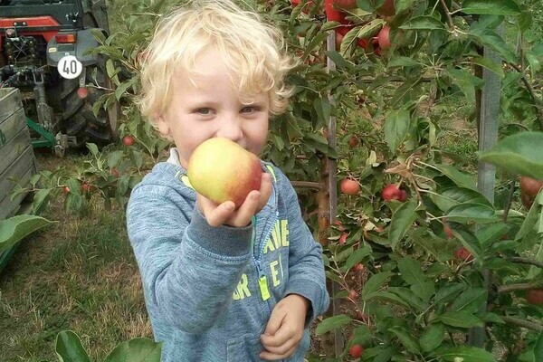 Obsthof Drechsle Bildnachweis: Obsthof Drechsle Obsthof Drechsle Bildnachweis: Obsthof Drechsle