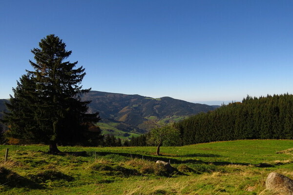 Bildnachweis: 4ws-Netdesign Bildnachweis: 4ws-Netdesign